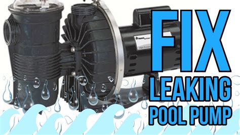 above ground pool pump leaking|How to Stop A Pool Pump From Leaking